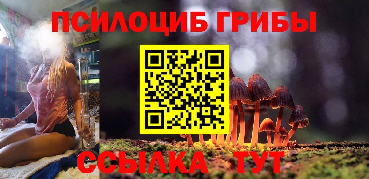 Псилоцибиновые грибы ЛСД  где купить наркоту  Мурманск  Галлюциногенные грибы ЛСД  Вход с VPN 